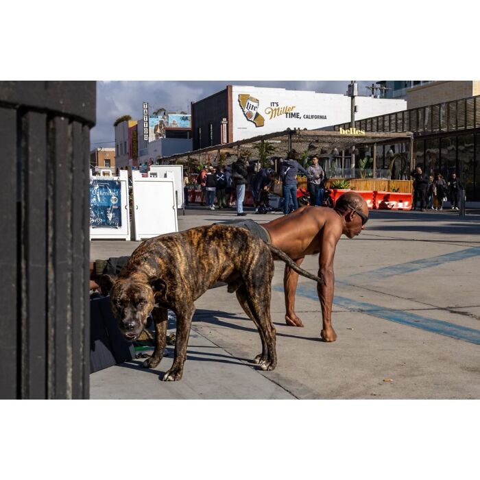 40 Times The Streets Looked Hilarious, Awkward, And Totally Relatable Through This Photographer’s Lens (New Pics) 40 Times The Streets Looked Hilarious, Awkward, And Totally Relatable Through This Photographer’s Lens (New Pics)