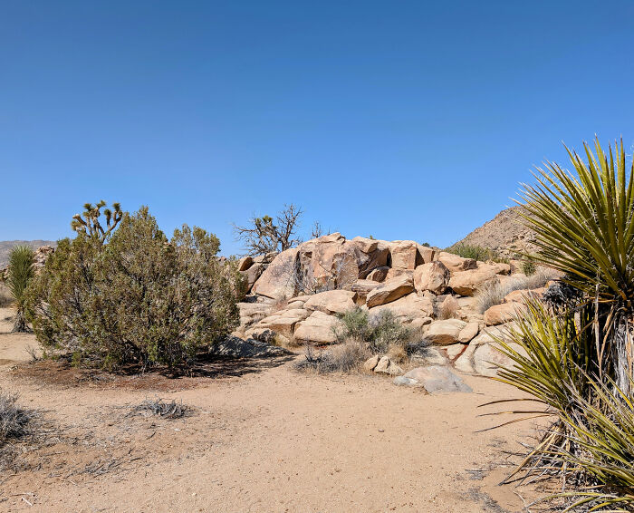 Mysterious Discovery Made In The Mojave Desert Could Change Our Understanding Of Ancient American History Mysterious Discovery Made In The Mojave Desert Could Change Our Understanding Of Ancient American History