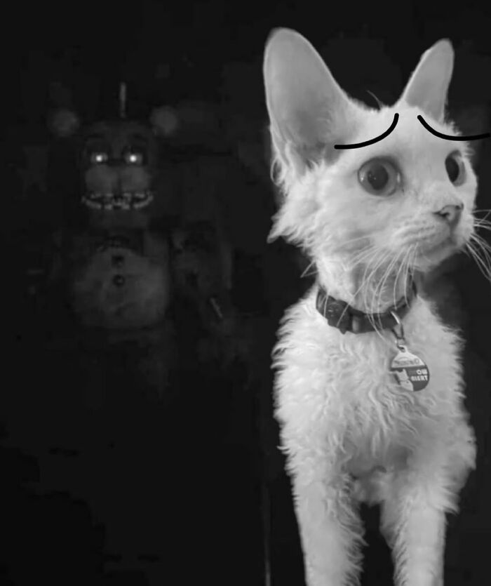 This Devon Rex Cat’s Instagram Is Pure Serotonin, Here Are 30 Of Its Cutest Moments This Devon Rex Cat’s Instagram Is Pure Serotonin, Here Are 30 Of Its Cutest Moments