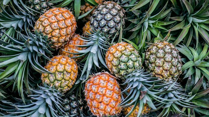65 Weirdly Interesting Facts People Somehow Have Stored In Their Brains 65 Weirdly Interesting Facts People Somehow Have Stored In Their Brains