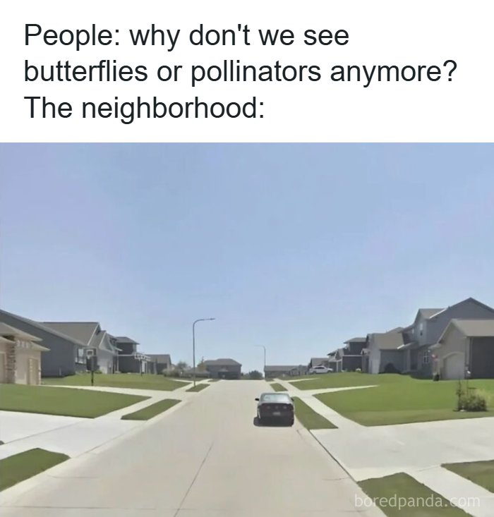 “400% Price Difference”: 91 Photos That Show How Insulting Consumerism Has Gotten (New Pics) “400% Price Difference”: 91 Photos That Show How Insulting Consumerism Has Gotten (New Pics)