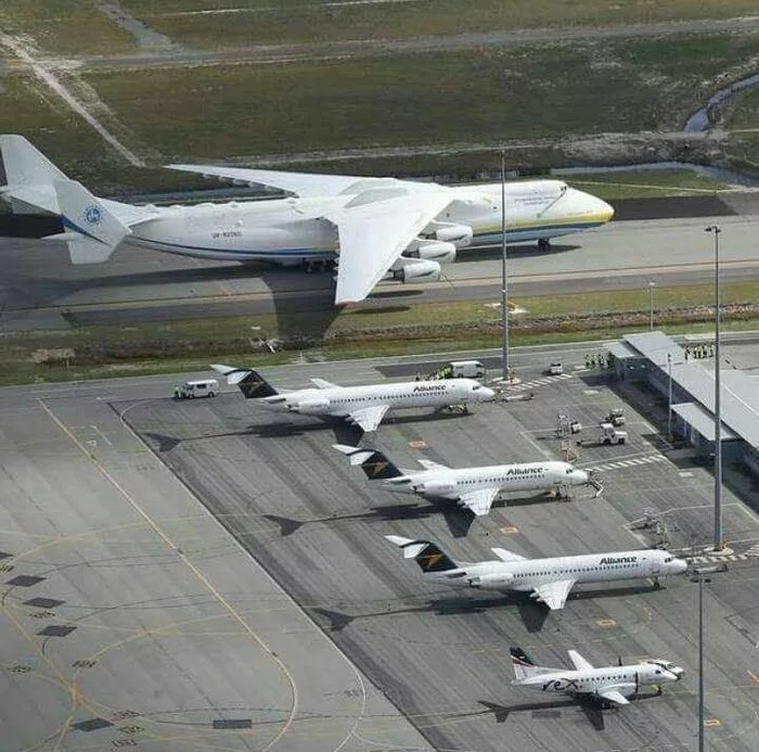 86 Size Comparisons That Might Make You Understand The True Scale Of Some Things 86 Size Comparisons That Might Make You Understand The True Scale Of Some Things