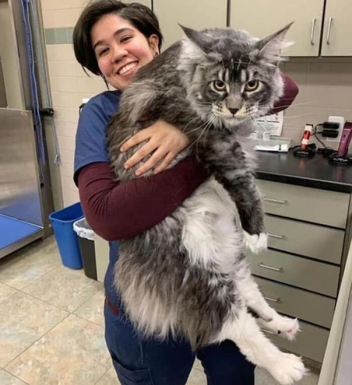 86 Size Comparisons That Might Make You Understand The True Scale Of Some Things 86 Size Comparisons That Might Make You Understand The True Scale Of Some Things