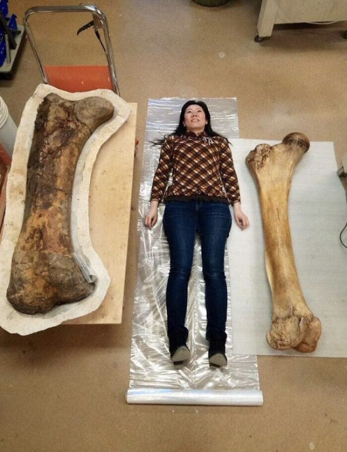 86 Size Comparisons That Might Make You Understand The True Scale Of Some Things 86 Size Comparisons That Might Make You Understand The True Scale Of Some Things