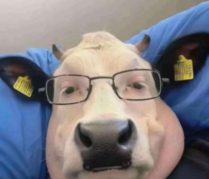 65 Camera Roll Photos That Need Absolutely No Explanation (But We’d Love One Anyway) 65 Camera Roll Photos That Need Absolutely No Explanation (But We’d Love One Anyway)