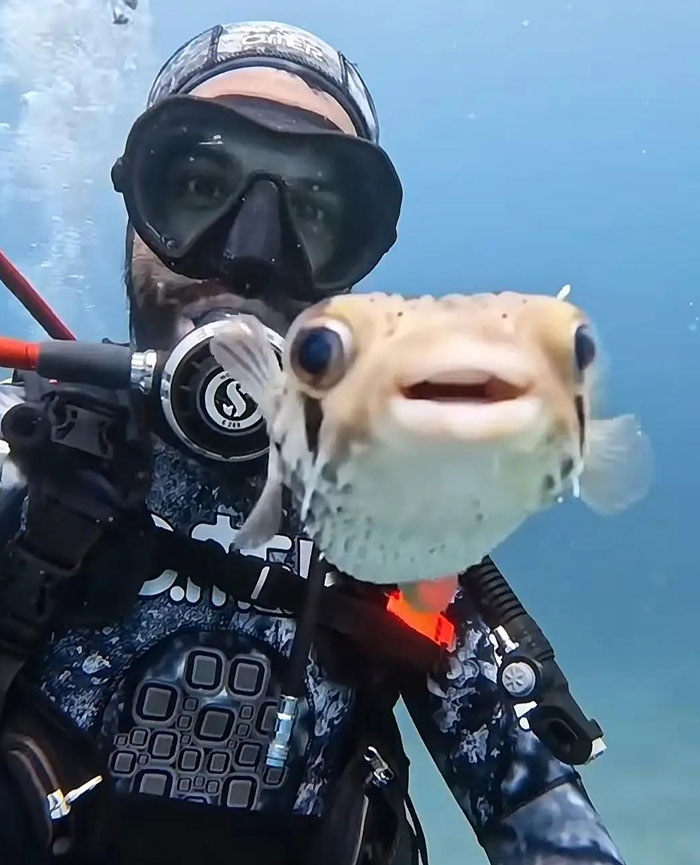 65 Camera Roll Photos That Need Absolutely No Explanation (But We’d Love One Anyway) 65 Camera Roll Photos That Need Absolutely No Explanation (But We’d Love One Anyway)