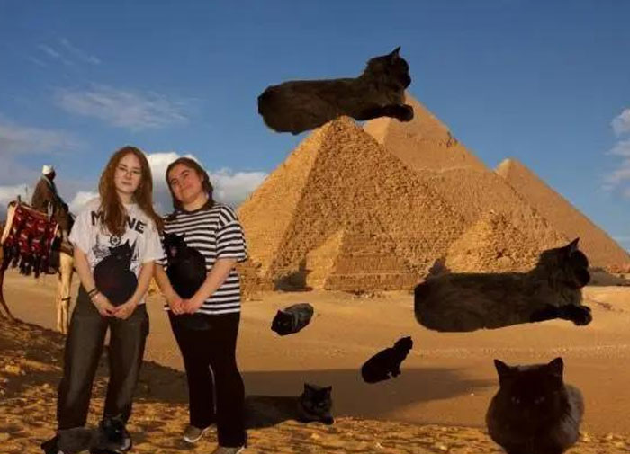 65 Camera Roll Photos That Need Absolutely No Explanation (But We’d Love One Anyway) 65 Camera Roll Photos That Need Absolutely No Explanation (But We’d Love One Anyway)
