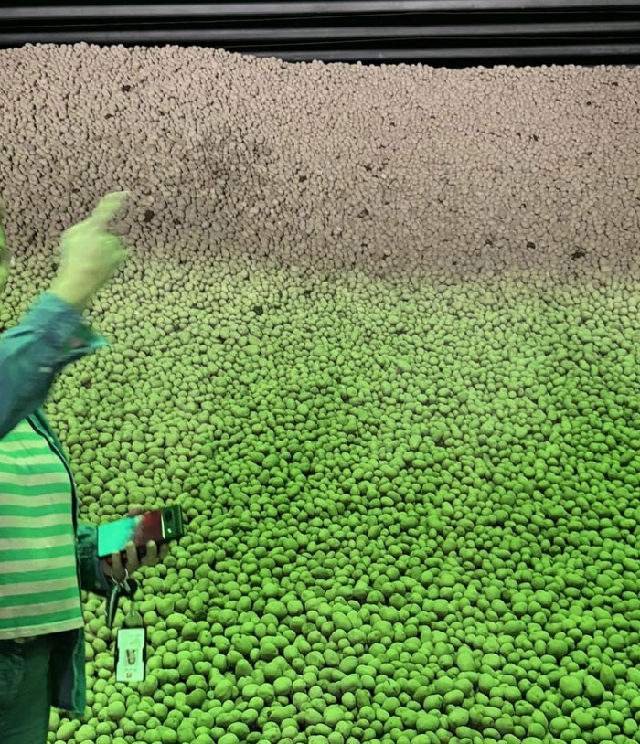 65 Camera Roll Photos That Need Absolutely No Explanation (But We’d Love One Anyway) 65 Camera Roll Photos That Need Absolutely No Explanation (But We’d Love One Anyway)