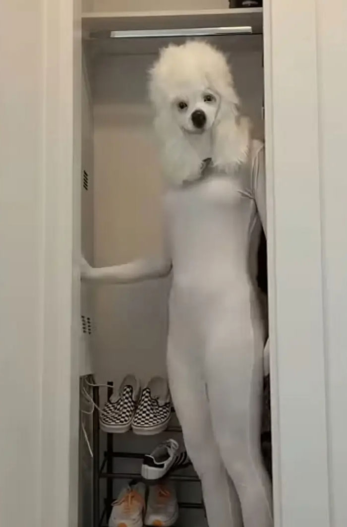 65 Camera Roll Photos That Need Absolutely No Explanation (But We’d Love One Anyway) 65 Camera Roll Photos That Need Absolutely No Explanation (But We’d Love One Anyway)