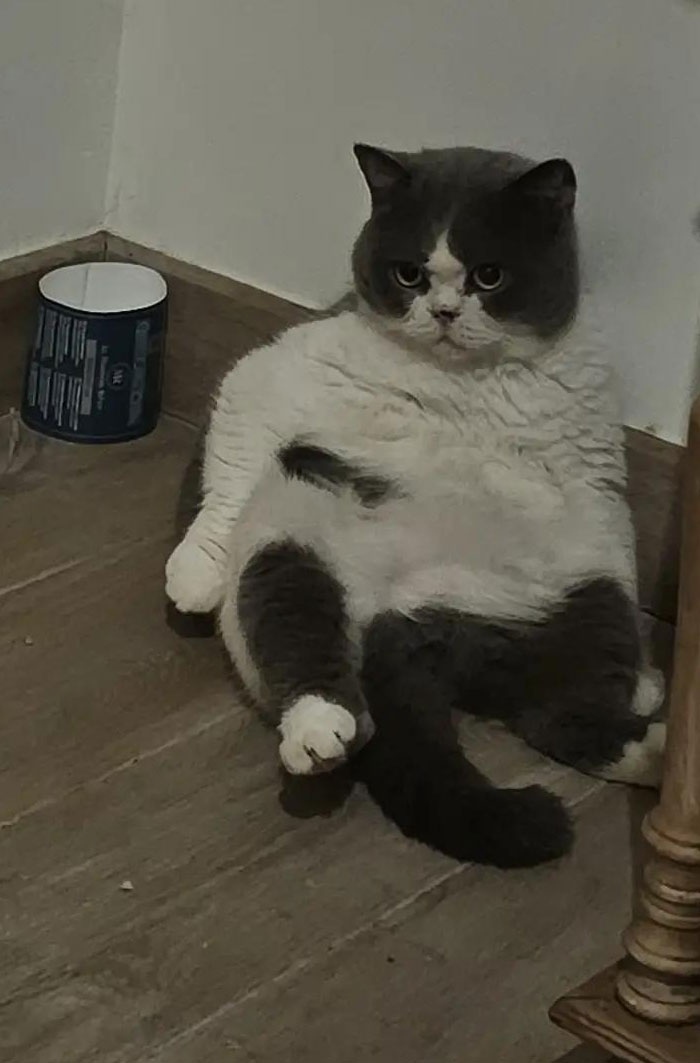 65 Camera Roll Photos That Need Absolutely No Explanation (But We’d Love One Anyway) 65 Camera Roll Photos That Need Absolutely No Explanation (But We’d Love One Anyway)
