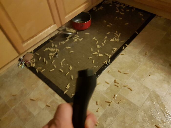 63 Photos Of Expensive Mistakes And Accidents You Can Be Glad Are Not Your Problem