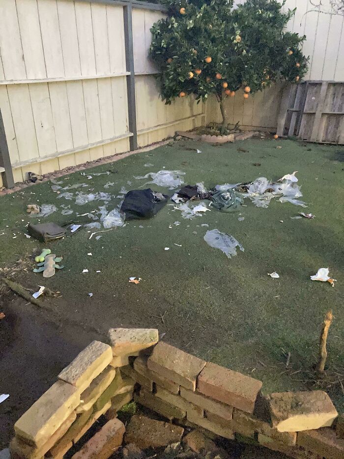 63 Photos Of Expensive Mistakes And Accidents You Can Be Glad Are Not Your Problem
