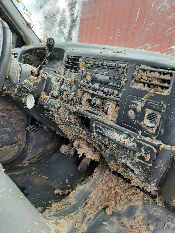 63 Photos Of Expensive Mistakes And Accidents You Can Be Glad Are Not Your Problem