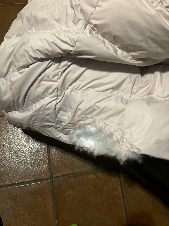 63 Photos Of Expensive Mistakes And Accidents You Can Be Glad Are Not Your Problem
