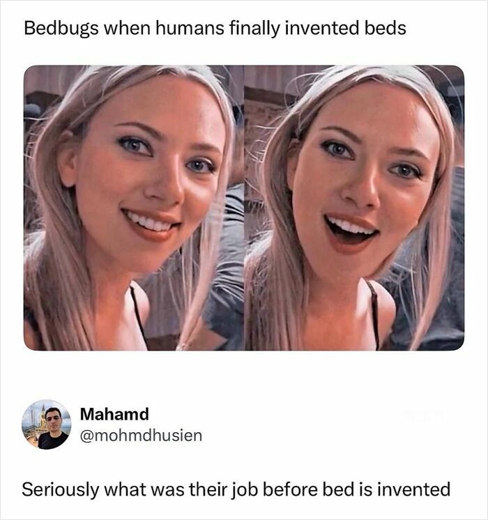 If Reality Is Too Much Right Now, Here Are 90 Relatable And Respectful Memes To Boost Your Morale (New Pics) If Reality Is Too Much Right Now, Here Are 90 Relatable And Respectful Memes To Boost Your Morale (New Pics)