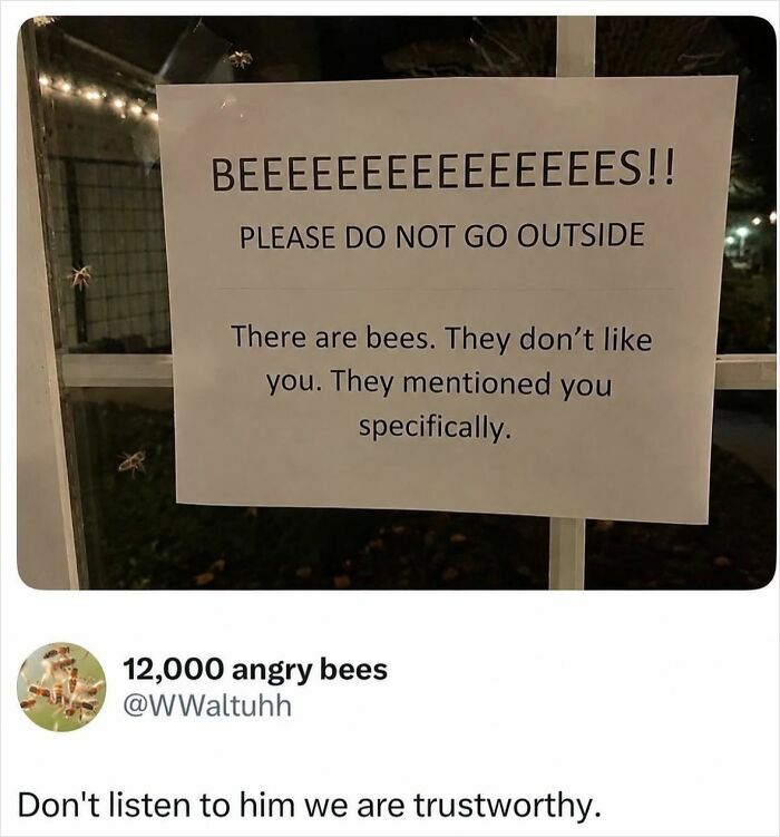 If Reality Is Too Much Right Now, Here Are 90 Relatable And Respectful Memes To Boost Your Morale (New Pics) If Reality Is Too Much Right Now, Here Are 90 Relatable And Respectful Memes To Boost Your Morale (New Pics)