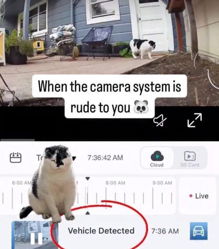If Reality Is Too Much Right Now, Here Are 90 Relatable And Respectful Memes To Boost Your Morale (New Pics) If Reality Is Too Much Right Now, Here Are 90 Relatable And Respectful Memes To Boost Your Morale (New Pics)