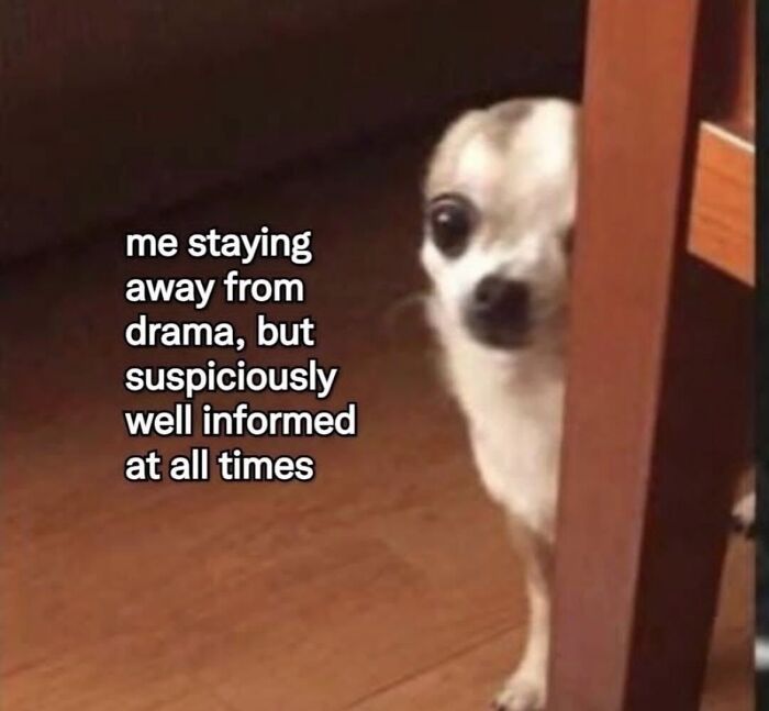 If Reality Is Too Much Right Now, Here Are 90 Relatable And Respectful Memes To Boost Your Morale (New Pics) If Reality Is Too Much Right Now, Here Are 90 Relatable And Respectful Memes To Boost Your Morale (New Pics)