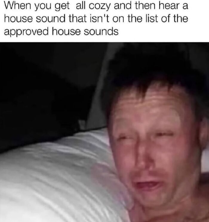 If Reality Is Too Much Right Now, Here Are 90 Relatable And Respectful Memes To Boost Your Morale (New Pics) If Reality Is Too Much Right Now, Here Are 90 Relatable And Respectful Memes To Boost Your Morale (New Pics)