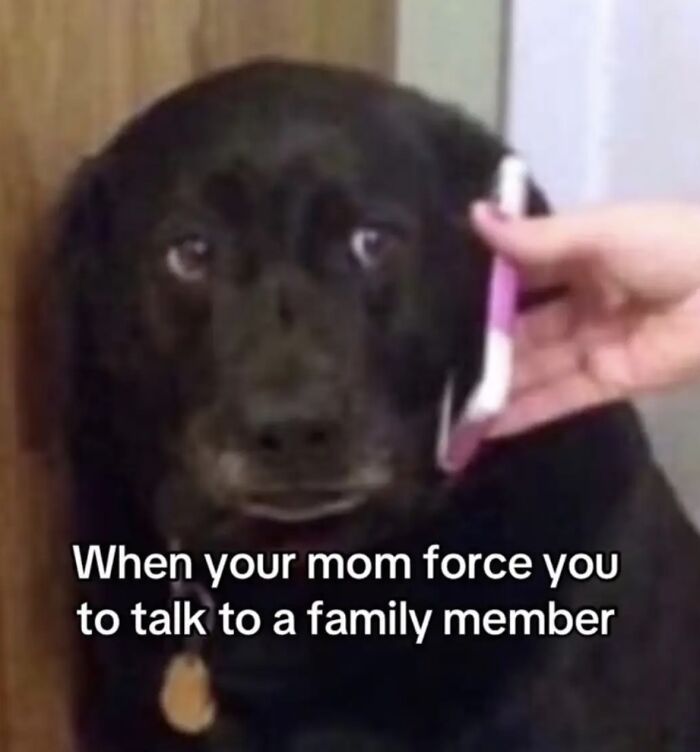 If Reality Is Too Much Right Now, Here Are 90 Relatable And Respectful Memes To Boost Your Morale (New Pics) If Reality Is Too Much Right Now, Here Are 90 Relatable And Respectful Memes To Boost Your Morale (New Pics)
