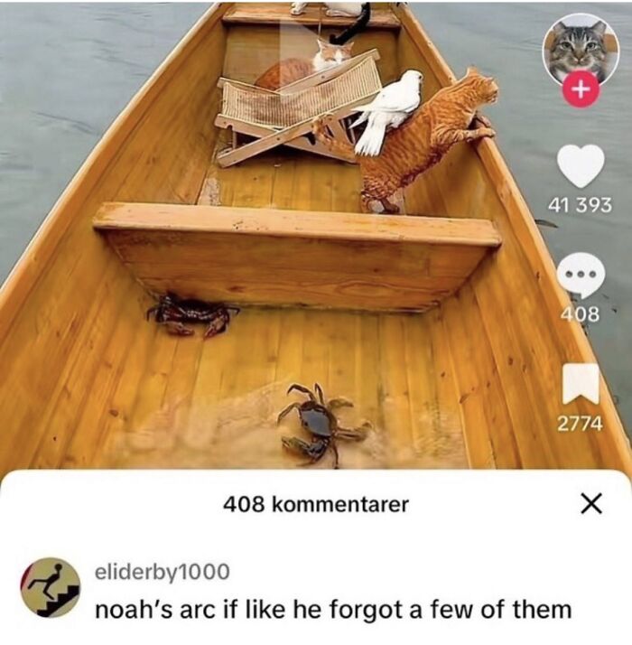 If Reality Is Too Much Right Now, Here Are 90 Relatable And Respectful Memes To Boost Your Morale (New Pics) If Reality Is Too Much Right Now, Here Are 90 Relatable And Respectful Memes To Boost Your Morale (New Pics)