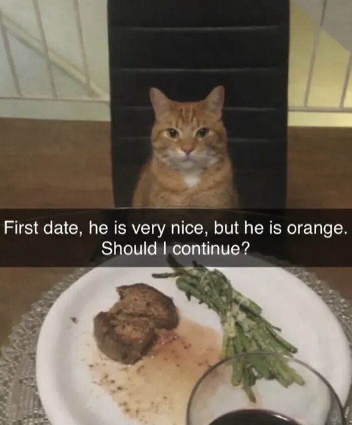 If Reality Is Too Much Right Now, Here Are 90 Relatable And Respectful Memes To Boost Your Morale (New Pics) If Reality Is Too Much Right Now, Here Are 90 Relatable And Respectful Memes To Boost Your Morale (New Pics)