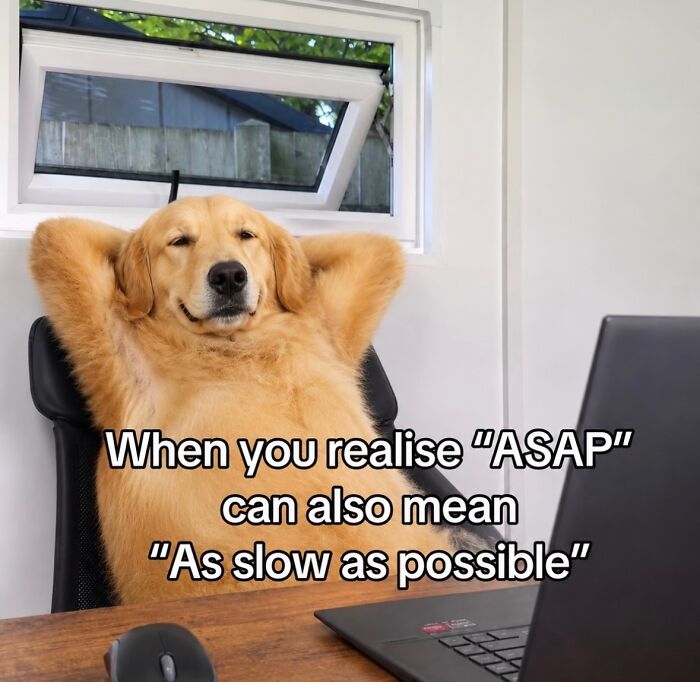 If Reality Is Too Much Right Now, Here Are 90 Relatable And Respectful Memes To Boost Your Morale (New Pics) If Reality Is Too Much Right Now, Here Are 90 Relatable And Respectful Memes To Boost Your Morale (New Pics)