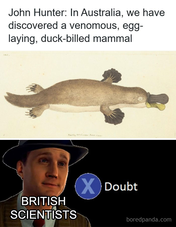53 History Memes That Might Teach You Something Through Humor (New Pics) 53 History Memes That Might Teach You Something Through Humor (New Pics)