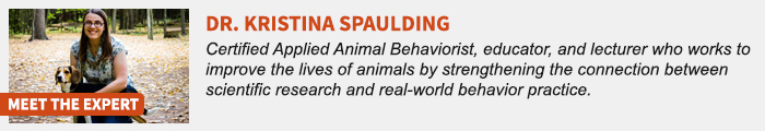 Animal Behavior Expert Explains 17 Common Things People Get Wrong About Dogs Animal Behavior Expert Explains 17 Common Things People Get Wrong About Dogs
