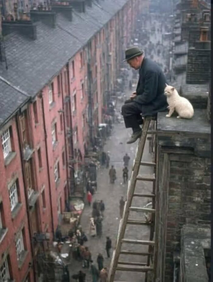 31 Street Photos By PSP Where Animals Became The Most Interesting Part Of The Frame 31 Street Photos By PSP Where Animals Became The Most Interesting Part Of The Frame