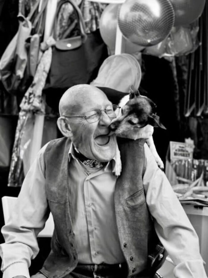31 Street Photos By PSP Where Animals Became The Most Interesting Part Of The Frame 31 Street Photos By PSP Where Animals Became The Most Interesting Part Of The Frame