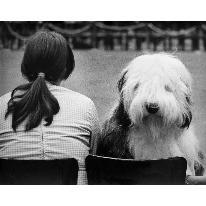 31 Street Photos By PSP Where Animals Became The Most Interesting Part Of The Frame 31 Street Photos By PSP Where Animals Became The Most Interesting Part Of The Frame