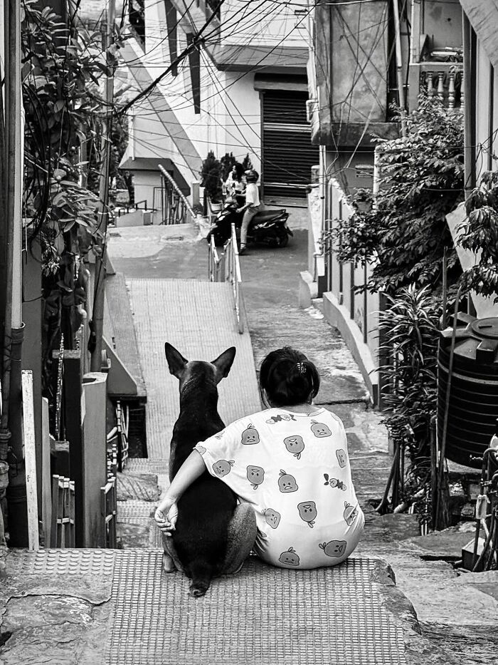 31 Street Photos By PSP Where Animals Became The Most Interesting Part Of The Frame 31 Street Photos By PSP Where Animals Became The Most Interesting Part Of The Frame