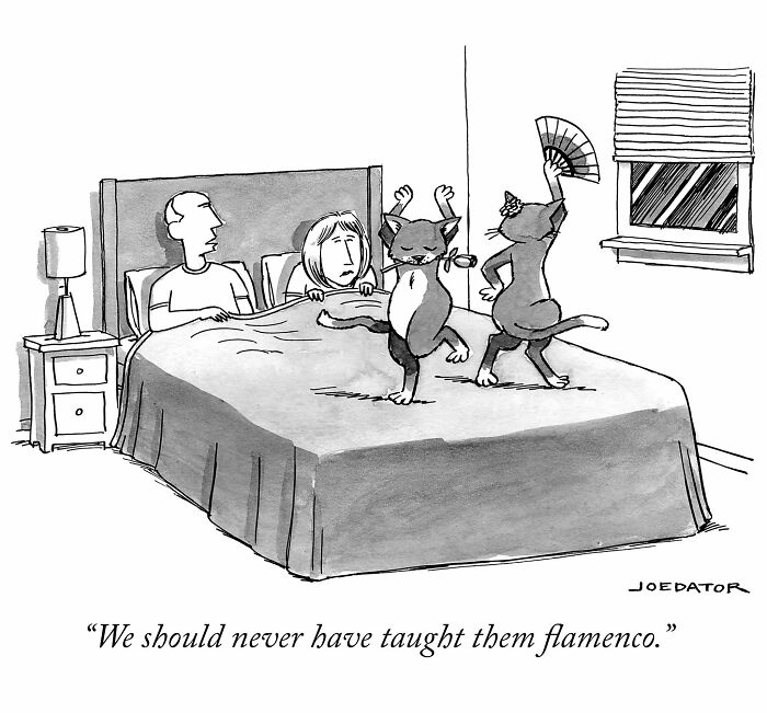 This Cartoonist Nails Everyday Absurdity In 49 Brilliant New Single Panels This Cartoonist Nails Everyday Absurdity In 49 Brilliant New Single Panels
