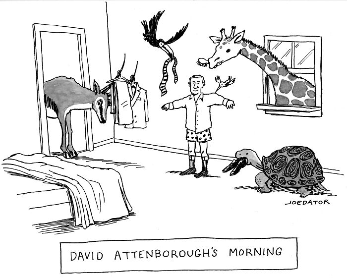 This Cartoonist Nails Everyday Absurdity In 49 Brilliant New Single Panels This Cartoonist Nails Everyday Absurdity In 49 Brilliant New Single Panels