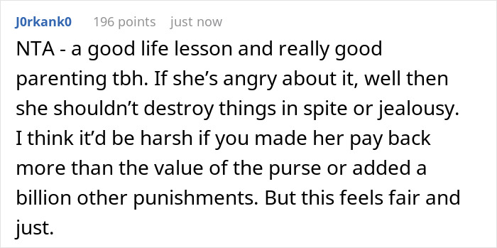 Jealous 15YO Slashes Stepsister’s $6K Designer Purse, Dad Makes Her Pay Every Dollar Back Jealous 15YO Slashes Stepsister’s $6K Designer Purse, Dad Makes Her Pay Every Dollar Back
