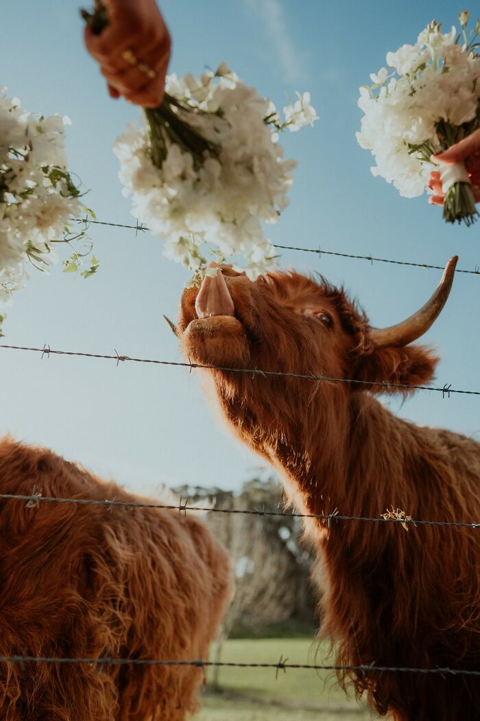 40 Color Photos Shared By The reFocus Contest That Capture The World In Remarkable Ways 40 Color Photos Shared By The reFocus Contest That Capture The World In Remarkable Ways