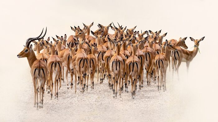 40 Color Photos Shared By The reFocus Contest That Capture The World In Remarkable Ways 40 Color Photos Shared By The reFocus Contest That Capture The World In Remarkable Ways