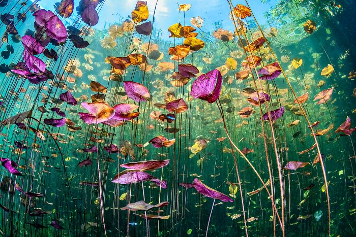 40 Color Photos Shared By The reFocus Contest That Capture The World In Remarkable Ways 40 Color Photos Shared By The reFocus Contest That Capture The World In Remarkable Ways