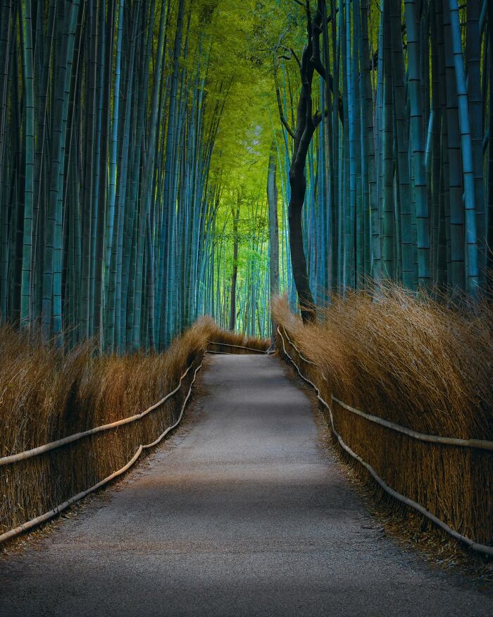 40 Color Photos Shared By The reFocus Contest That Capture The World In Remarkable Ways 40 Color Photos Shared By The reFocus Contest That Capture The World In Remarkable Ways