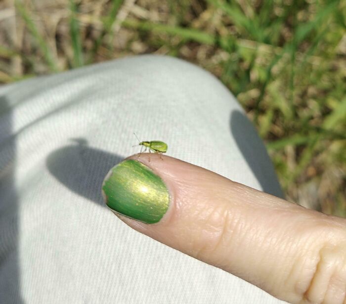 68 Incredibly Satisfying Paint Matches That Are So Perfect They Look Like Photoshop, But Aren’t