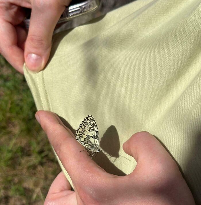 68 Incredibly Satisfying Paint Matches That Are So Perfect They Look Like Photoshop, But Aren’t