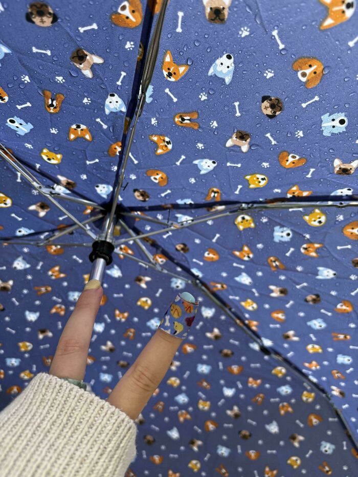 68 Incredibly Satisfying Paint Matches That Are So Perfect They Look Like Photoshop, But Aren’t