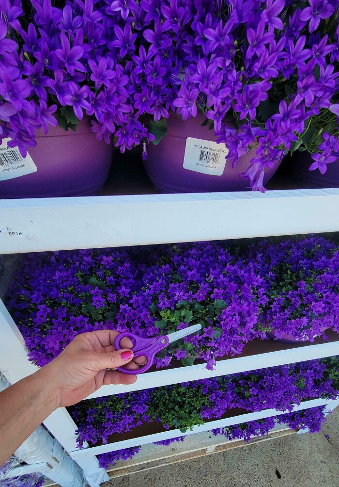 68 Incredibly Satisfying Paint Matches That Are So Perfect They Look Like Photoshop, But Aren’t