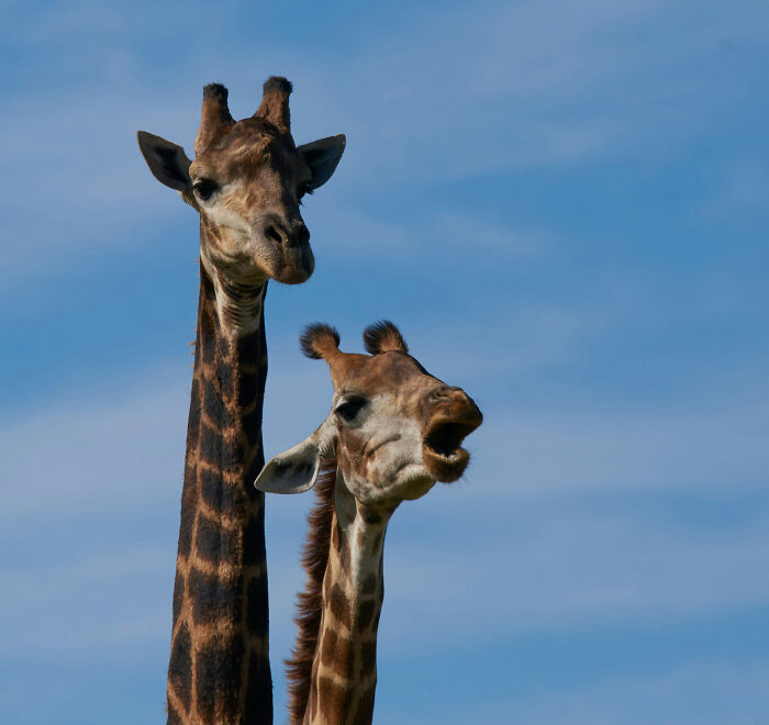 45 Facts People Wish They Could Forget The Moment They Learned Them