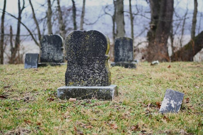 45 Facts People Wish They Could Forget The Moment They Learned Them
