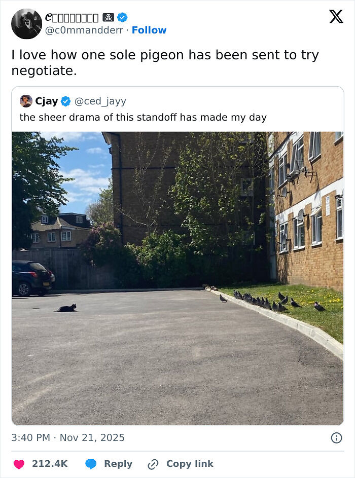 “You Have Found The Holy Grill”: 42 Funny Comments That Are Well Worth Retweeting “You Have Found The Holy Grill”: 42 Funny Comments That Are Well Worth Retweeting