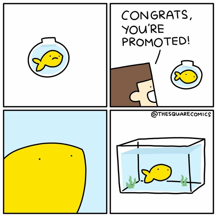 Artist Made 60 New Comics That Make You Laugh At The Things You Usually Complain About Artist Made 60 New Comics That Make You Laugh At The Things You Usually Complain About