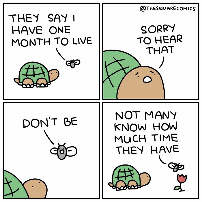 Artist Made 60 New Comics That Make You Laugh At The Things You Usually Complain About Artist Made 60 New Comics That Make You Laugh At The Things You Usually Complain About