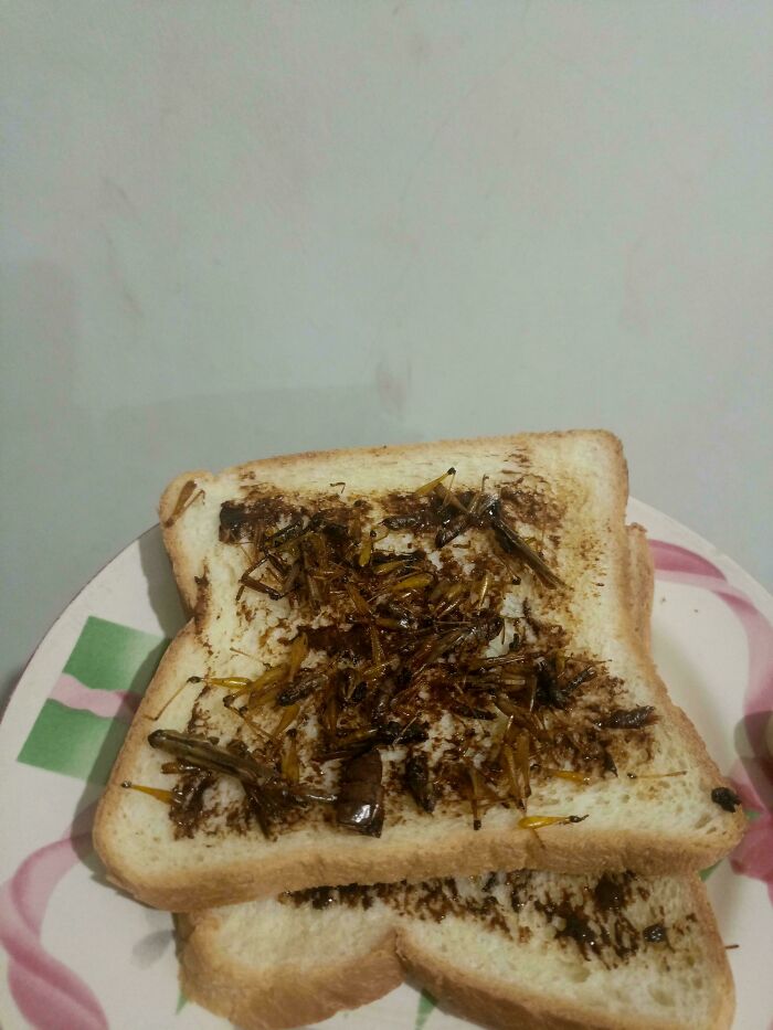68 Pieces Of Stupid And Disgusting Food That Deserve To Be Publicly Shamed (New Pics) 68 Pieces Of Stupid And Disgusting Food That Deserve To Be Publicly Shamed (New Pics)